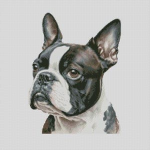 Boston Terrier Dog 5 Cross Stitch Chart Instant Download PDF Pattern Keeper Compatible