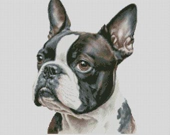Boston Terrier Dog 5 Cross Stitch Chart Instant Download PDF Pattern Keeper Compatible