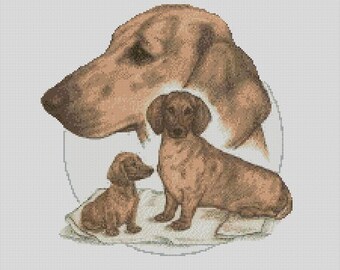May include: A brown and tan dachshund with a smaller brown and tan dachshund puppy sitting in front of it. The dogs are in a circle with a white background.