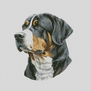 Größerer Schweizer Sennenhund 4 Kreuzstichvorlage Sofortiger Download PDF-Musterbewahrer Kompatibel
