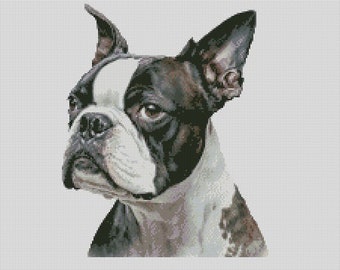 Diagrama de punto de cruz o kit completo de Boston Terrier Dog 1
