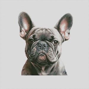 Può includere: Un ritratto ravvicinato di un bulldog francese con un mantello grigio e nero. Il cane ha grandi orecchie cadenti e un viso rugoso.