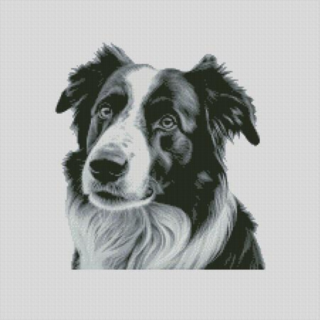 Border Collie Dog 1 Cross Stitch Chart Instant Download PDF Pattern ...