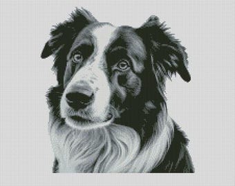 Gráfico de punto de cruz para perro Border Collie 1, descarga instantánea de patrones en PDF, compatible con Keeper.