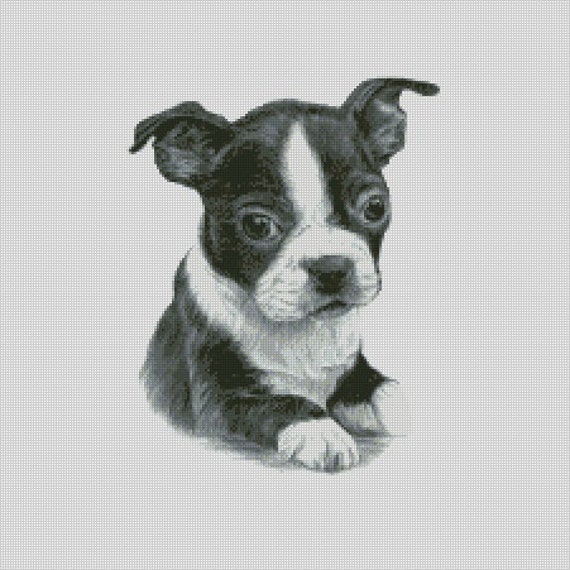 Boston Terrier Puppy Cross Stitch Chart Instant Download PDF Pattern Keeper Compatible