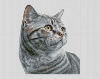 American Shorthair Cat 1 Cross Stitch Chart Instant Download PDF Pattern Keeper Compatible
