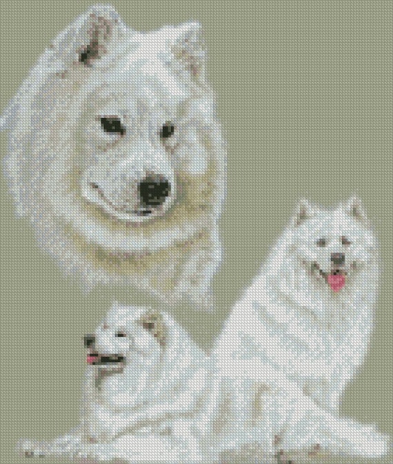 Cross Stitch Chart Or Complete Kit Samoyed Dog Etsy