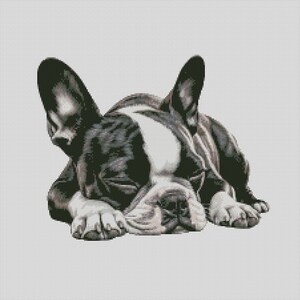 Boston Terrier Dog 4 Counted Cross Stitch Chart or Complete Kit