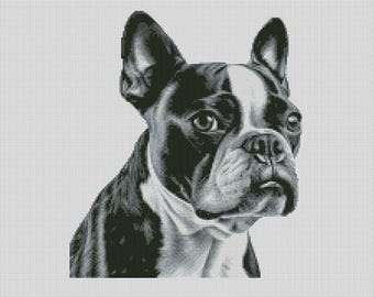 Diagrama de punto de cruz o kit completo de Boston Terrier Dog 1