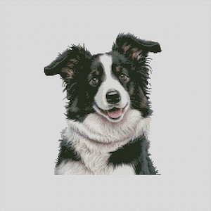Border Collie Dog 1 Cross Stitch Chart Instant Download PDF Pattern Keeper Compatible
