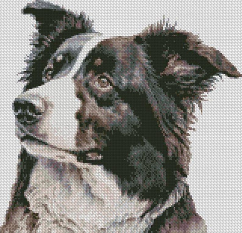 Border Collie Dog 2 Cross Stitch Chart Instant Download PDF Pattern ...