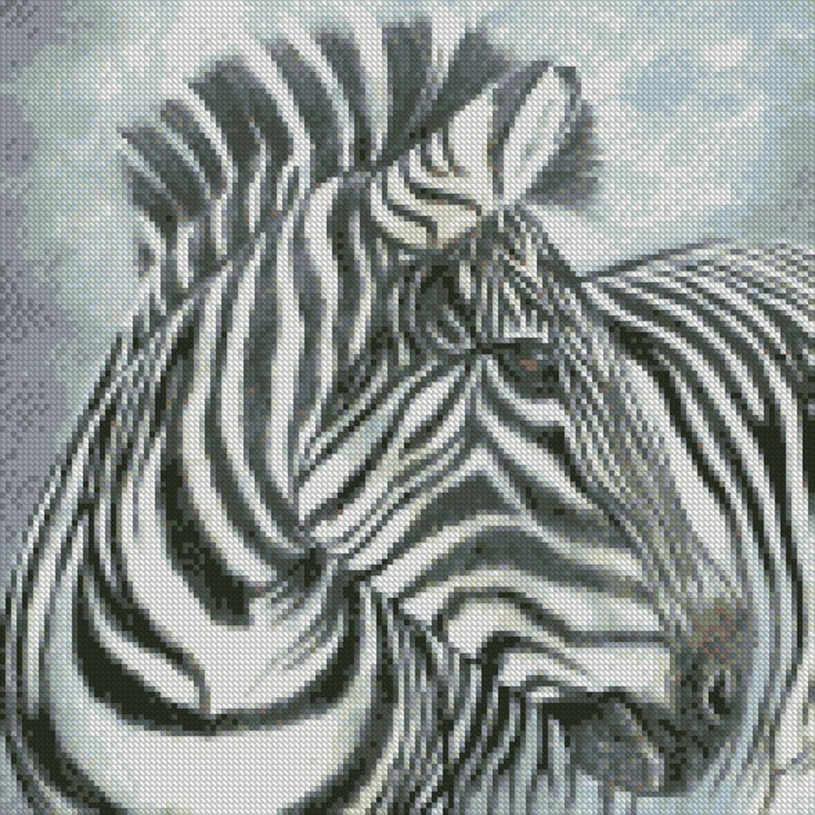 Cross Stitch Chart or Complete Kit Zebra Etsy
