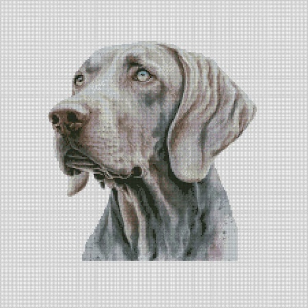 Counted Cross Stitch Chart or Complete Kit Weimaraner Dog 1