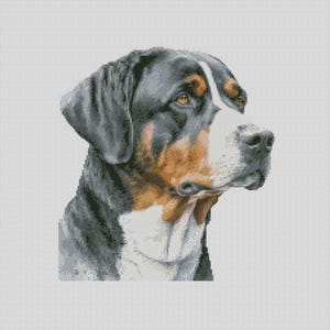 Größerer Schweizer Sennenhund 8 Kreuzstichvorlage Sofortiger Download PDF-Musterbewahrer Kompatibel
