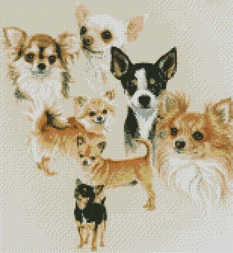 Chihuahua Dog Years Chart