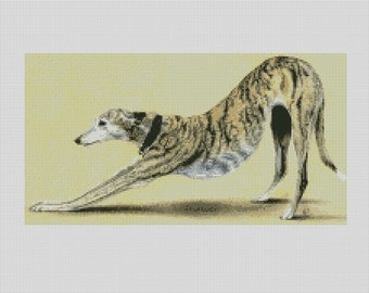 Puede incluir: Un perro galgo marrón y negro estira su cuerpo hacia adelante con las patas extendidas. El perro está sobre un fondo amarillo claro.