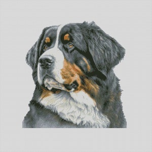 Berner Sennenhund 1 Kreuzstichvorlage Sofortiger Download PDF Muster Finder Kompatibel