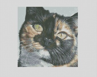 Calico schildpad kat Cali Stare kruissteekkaart Instant download pdf Patroonhouder compatibel