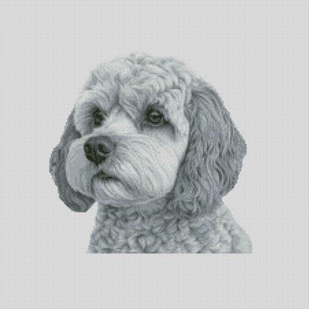 Cavapoo Dog 2 Cross Stitch Chart Instant Download PDF Pattern Keeper ...