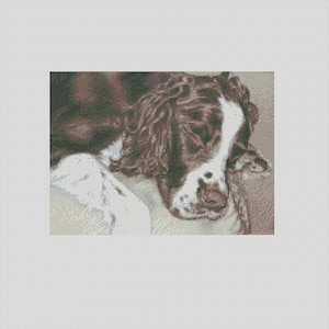 Instant Download PDF Cross Stitch Chart Springer Spaniel Dog Pattern Keeper Compatible