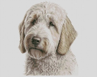 Labradoodle Dog 2 Counted Cross Stitch Chart or Complete Kit
