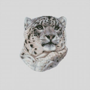 May include: A close-up portrait of a snow leopard with white fur and black spots. The leopard has a serious expression and is looking directly at the viewer.