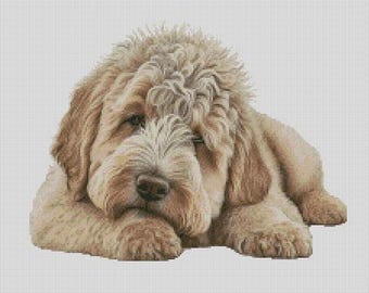 Gráfico de punto de cruz para perro Labradoodle 5, descarga instantánea de patrones en PDF, compatible con Keeper.