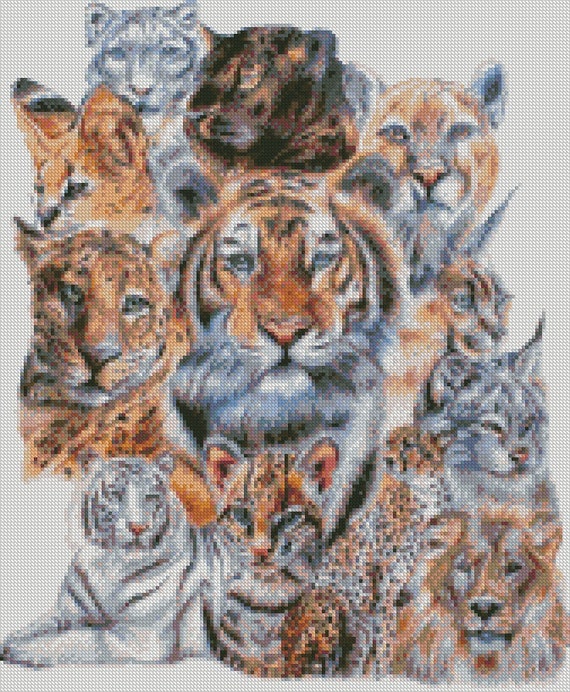 Tiger Lion Size Chart