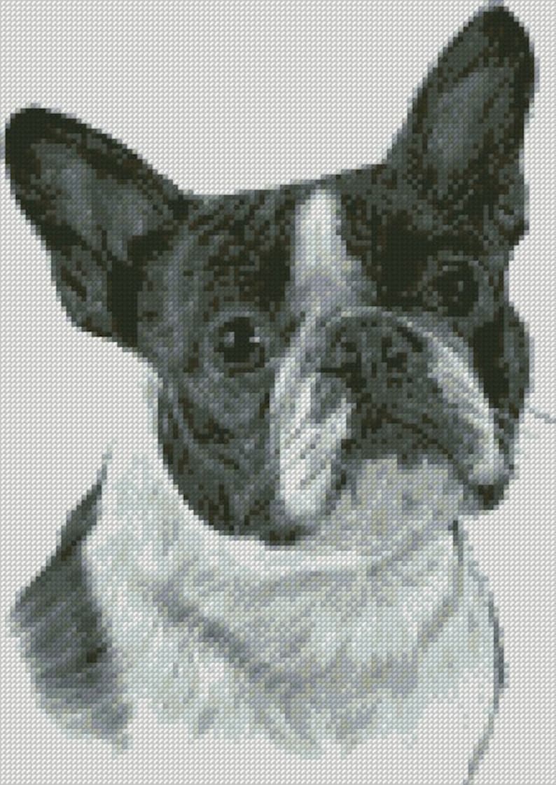Cross Stitch Chart or Complete Kit Boston Terrier Dog - Etsy