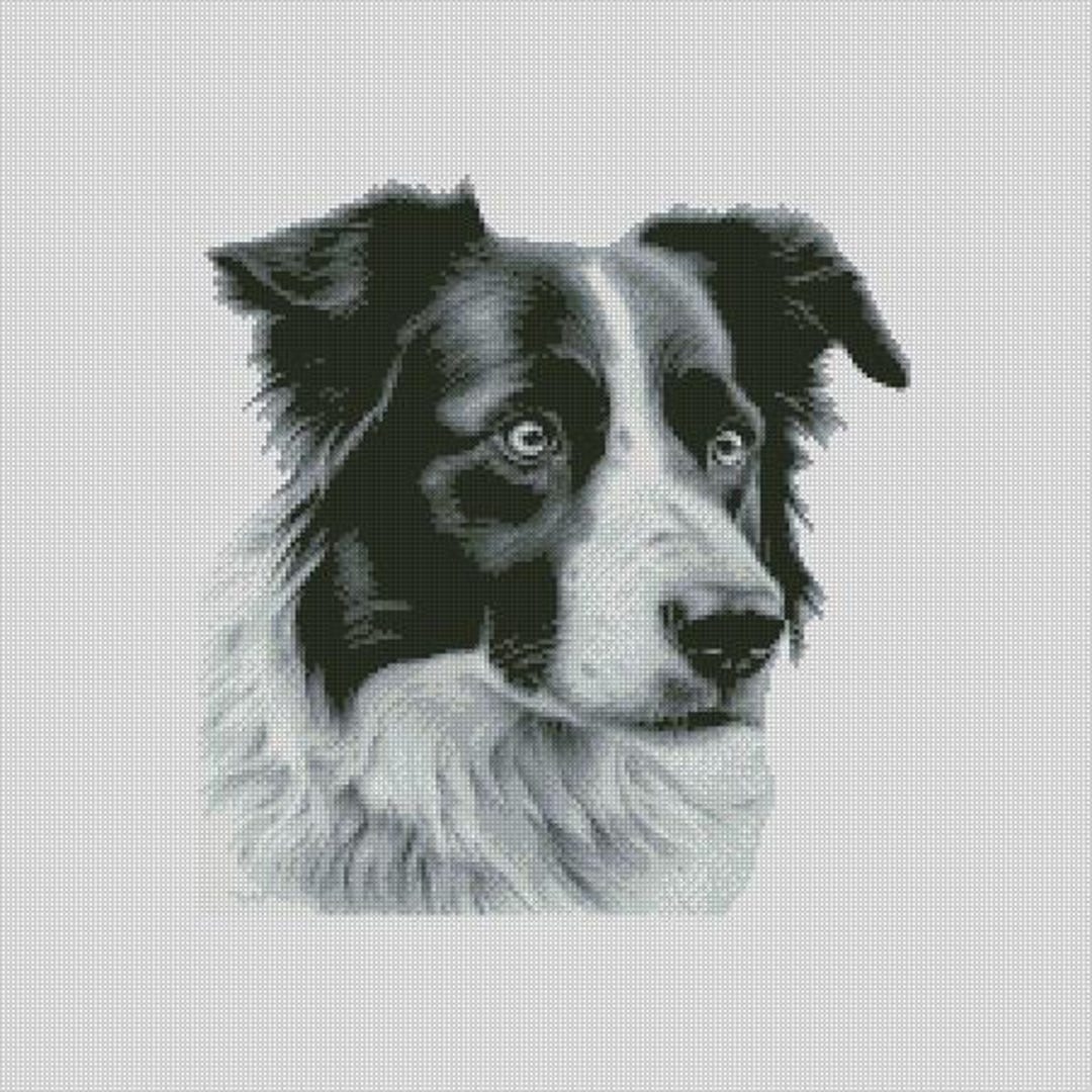 Border Collie Dog 3 Cross Stitch Chart Instant Download PDF Pattern ...