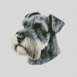 Schnauzer Hund 6 Kreuzstichvorlage Sofortiger Download PDF Muster Finder Kompatibel