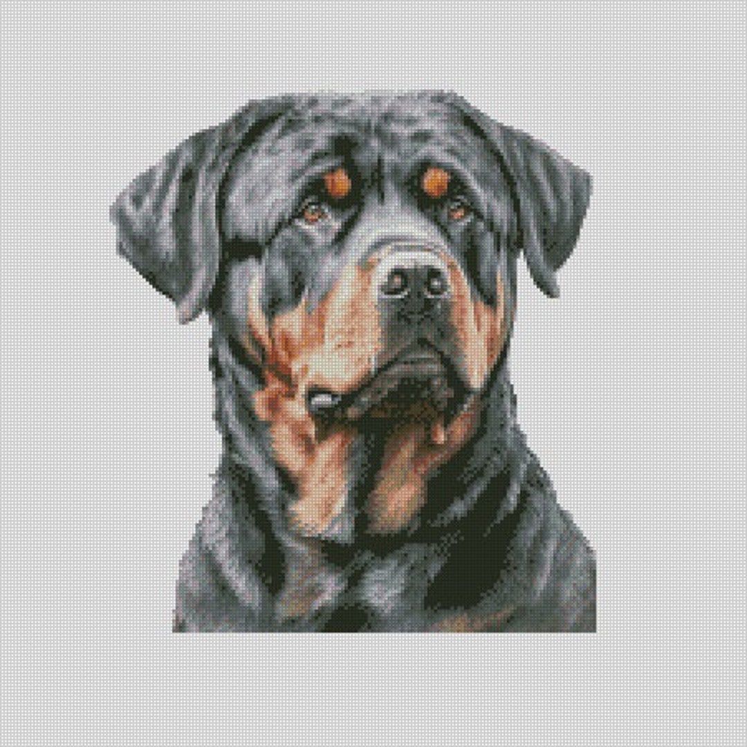Rottweiler Dog 1 Cross Stitch Chart Instant Download PDF Pattern Keeper ...
