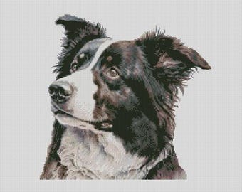 Diagrama de punto de cruz o kit completo de 2 perros Border Collie