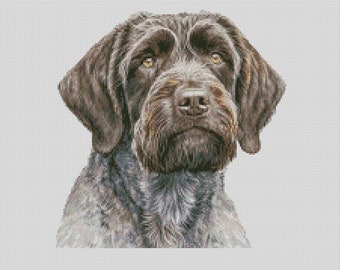 Perro de muestra de pelo duro Griffon 1 Gráfico de punto de cruz Descarga instantánea Patrón PDF Compatible con Keeper