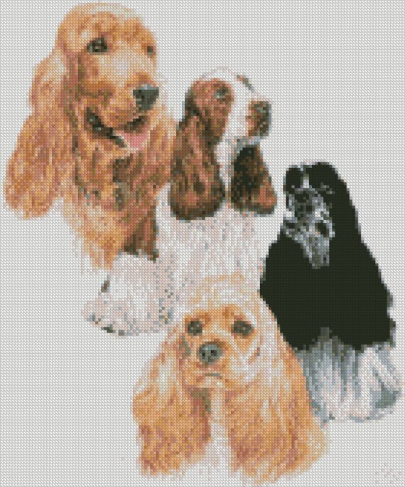 American Cocker Spaniel Size Chart