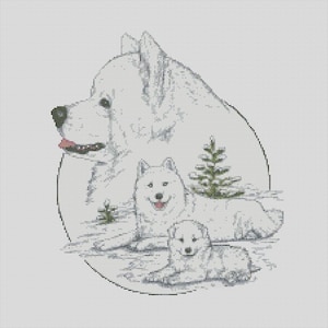 Samoyed Dog Trio Counted Cross Stitch Chart or Complete Kit
