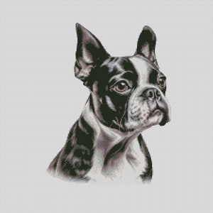Boston Terrier Dog 3 Cross Stitch Chart Instant Download PDF Pattern Keeper Compatible