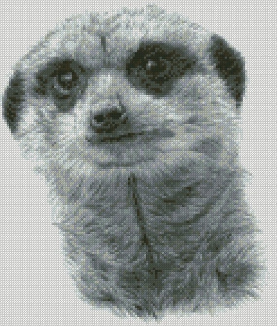 Cross Stitch Chart Kit Meerkat
