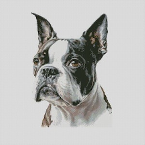 Boston Terrier Dog 2 Cross Stitch Chart Instant Download PDF Pattern Keeper Compatible