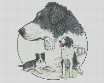 Diagrama de punto de cruz o kit completo de tres perros Border Collie