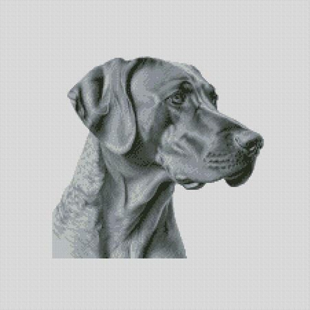 Rhodesian Ridgeback Dog 2 Cross Stitch Chart Instant Download PDF ...