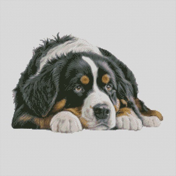 Counted Cross Stitch Chart or Complete Kit Bernese Mountain Dog 1 Small