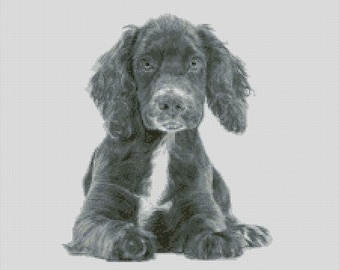 Kit completo o diagrama de punto de cruz de cachorro de cocker spaniel inglés