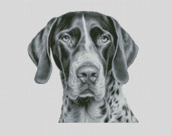 Diagrama de punto de cruz para perro Braco Alemán de Pelo Corto 1 Descarga instantánea Patrón PDF Compatible con Keeper