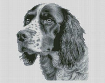 Diagrama de punto de cruz para perro Springer Spaniel inglés 1 Descarga instantánea Patrón PDF Compatible con Keeper