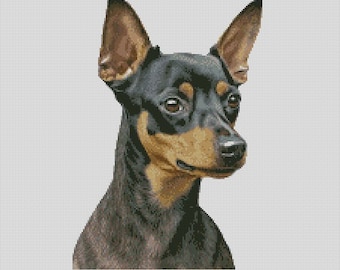 Diagrama de punto de cruz o kit completo de perro pinscher miniatura