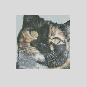 Counted Cross Stitch Chart or Complete Kit Tortoiseshell Calico Cat Cali Stare