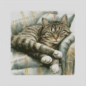 May include: A tabby cat with white paws is sleeping on a blue and white checked sofa.