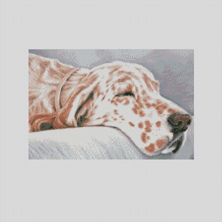 Red English Setter Dog Cross Stitch Chart Instant Download PDF Pattern Keeper Compatible