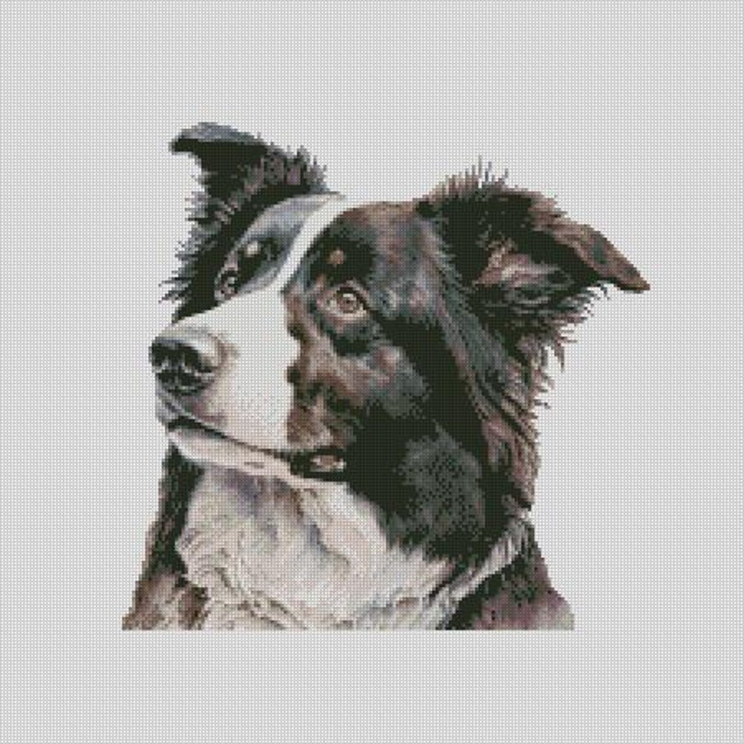 Border Collie Dog 2 Cross Stitch Chart Instant Download PDF Pattern ...